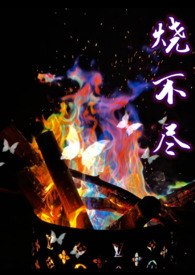烧不尽推文